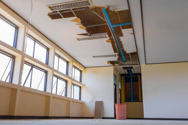 Best Sewage cleanup and water damage restoration  in Stephens City, VA