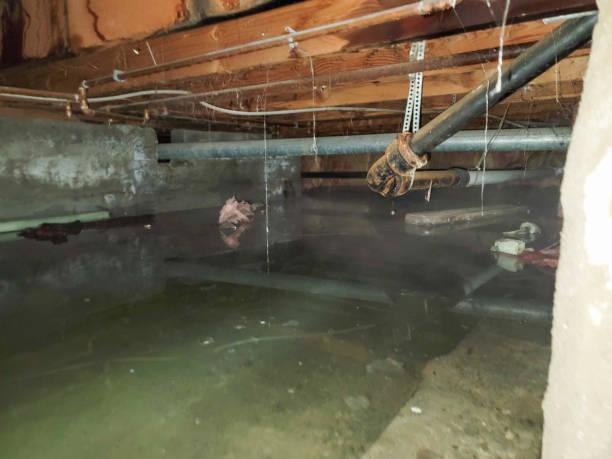 Best Residential water damage restoration  in Stephens City, VA