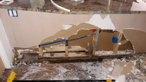 Best Flood damage cleanup  in Stephens City, VA