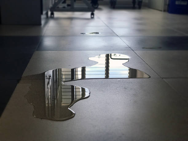 Best 24/7 water damage repair  in Stephens City, VA