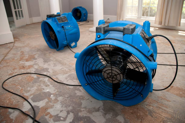 Best Carpet water damage restoration  in Stephens City, VA