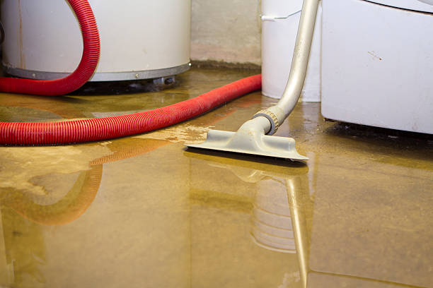 Reliable Stephens City, VA Water damage restoration Solutions
