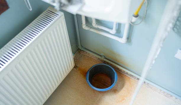 Best 24-hour water damage restoration  in Stephens City, VA