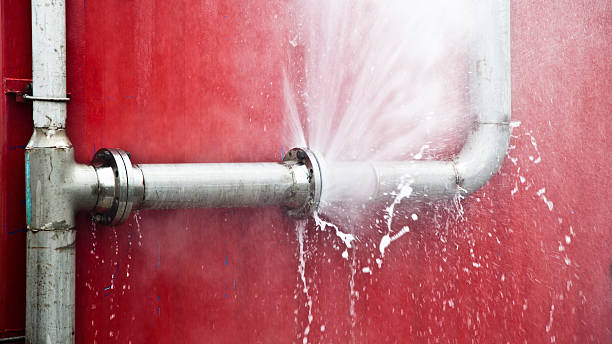 Best Water damage restoration mold remediation  in Stephens City, VA